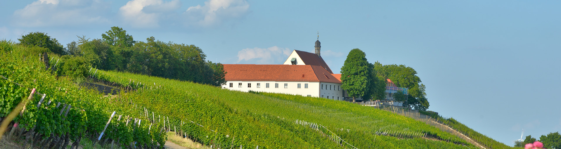 Blick auf das Tagungshotel Vogelsburg