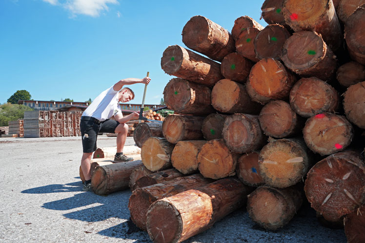 Andreas Reßle mit Baumstämmen, aus denen Massivholzwände produziert werden