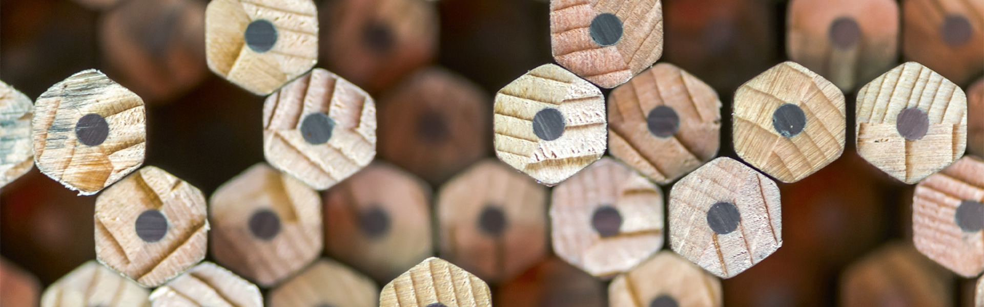 Makrofotografie holzgefasste Stifte